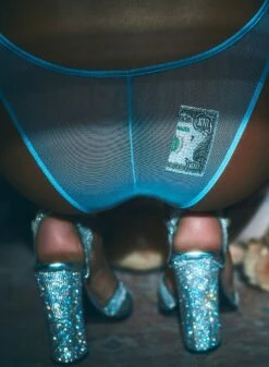 Fleur Du Mal Big Spender Embroidery Cheeky