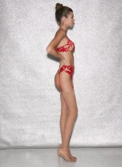 Fleur Du Mal Fuller Cup Velvet Lily Embroidery Plunge Demi Bra -Fleurdumal Shop FDM 010623 1 04637full