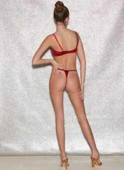 Fleur Du Mal Roses & Thorns Boned Bralette -Fleurdumal Shop FDM 041222 1 0509full