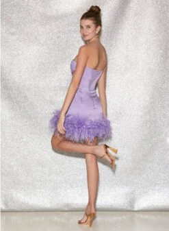 Fleur Du Mal Feather Embellished Bustier Dress -Fleurdumal Shop FDM 041222 1 4499full