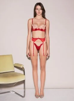 Fleur Du Mal James Lace Cheeky -Fleurdumal Shop FDM 111522 10839full e9024a2d a9c4 426c b02f 787af5bb249a