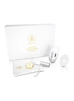 Le Wand Little Pleasures Set 11 Le Wand Little Pleasures Set -Fleurdumal Shop LWChrome4000px 10web