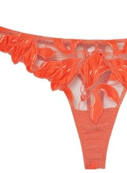 Fleur Du Mal Lily Embroidery Hipster Thong 15 Fleur Du Mal Lily Embroidery Hipster Thong -Fleurdumal Shop clemetinelilyflat2