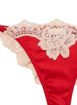 Fleur Du Mal James Lace Cheeky -Fleurdumal Shop jameslacepantyflat2