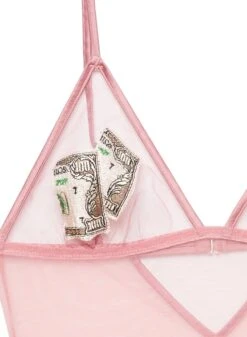 Fleur Du Mal Big Spender Embroidery Bodysuit -Fleurdumal Shop moneybodysuitpinkflat2