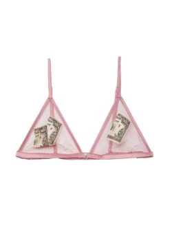 Fleur Du Mal Big Spender Embroidery Triangle Bra -Fleurdumal Shop moneybrapinkflat1