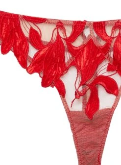 Fleur Du Mal Velvet Lily Embroidery Hipster Thong 13 Fleur Du Mal Velvet Lily Embroidery Hipster Thong -Fleurdumal Shop rougevelvetthongflat2